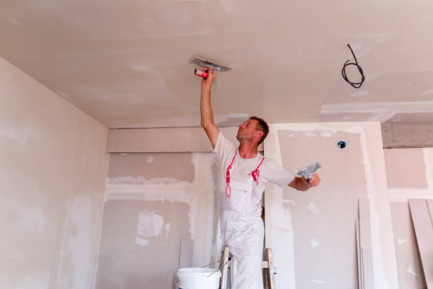 Best Ceiling Drywall Installation  in Arcade, GA